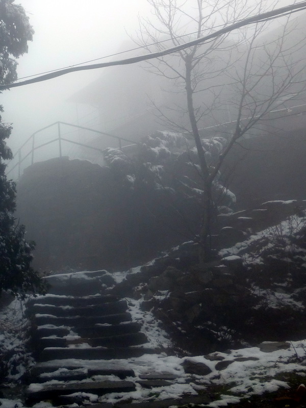 p1180800.jpg