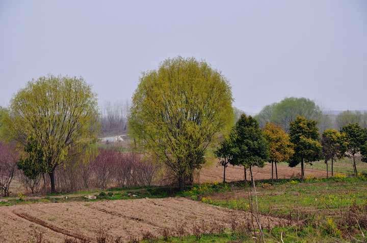 dsc_0164.jpg