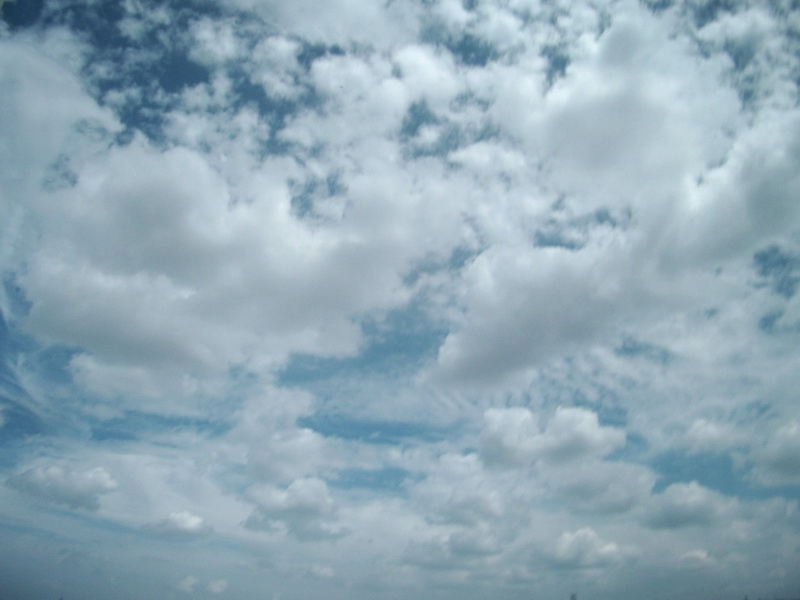 dscf0452.jpg