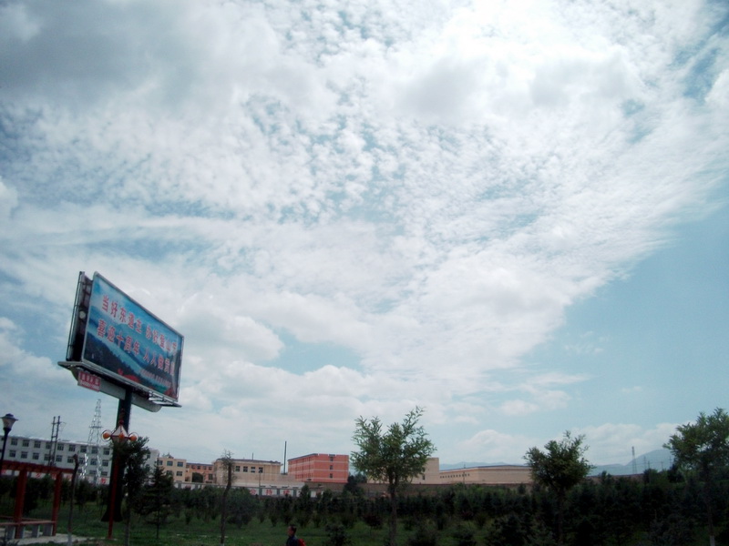dscf0454.jpg