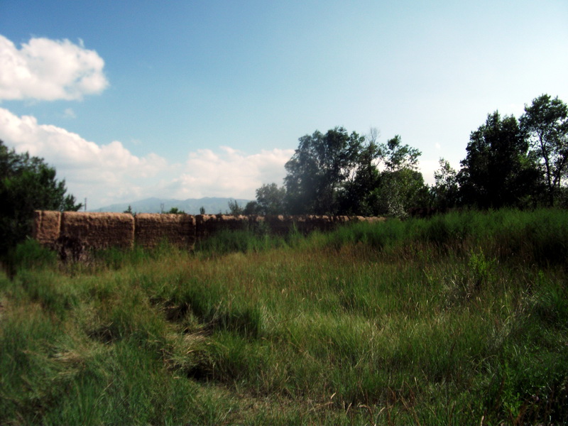 dscf0468.jpg