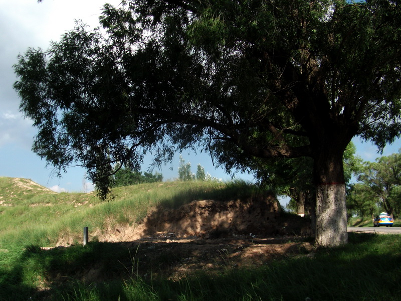 dscf0472.jpg