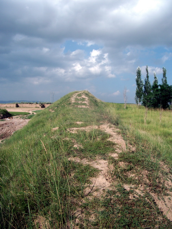 dscf0475.jpg