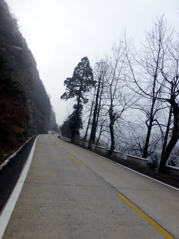 p1180830.jpg
