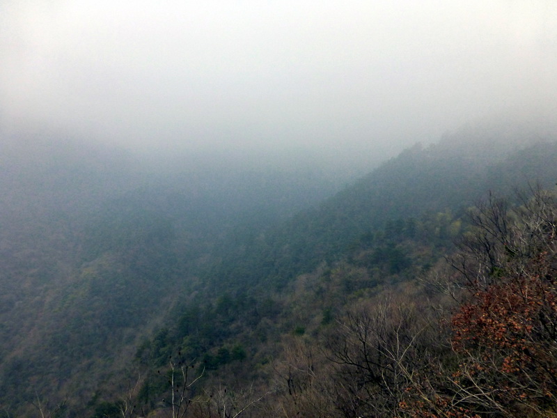 p1180834.jpg