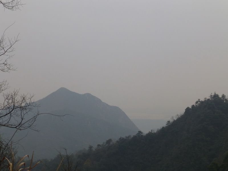 p1180860.jpg