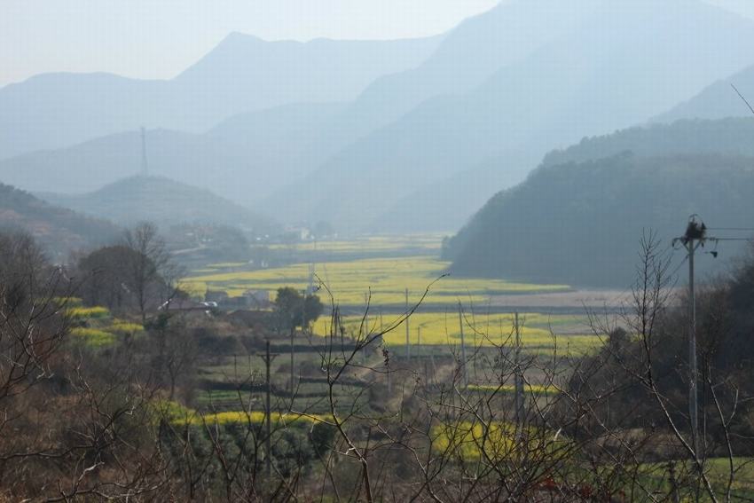 qqͼƬ20140316101236.jpg
