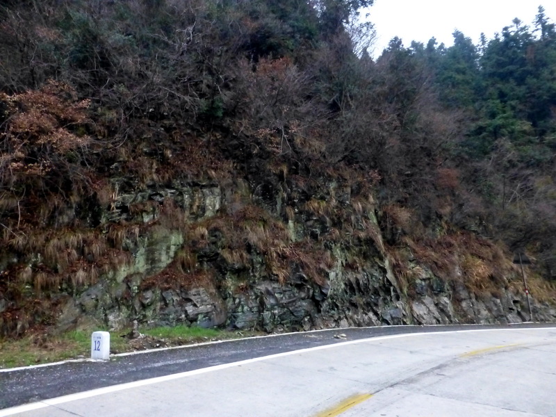 p1180857.jpg