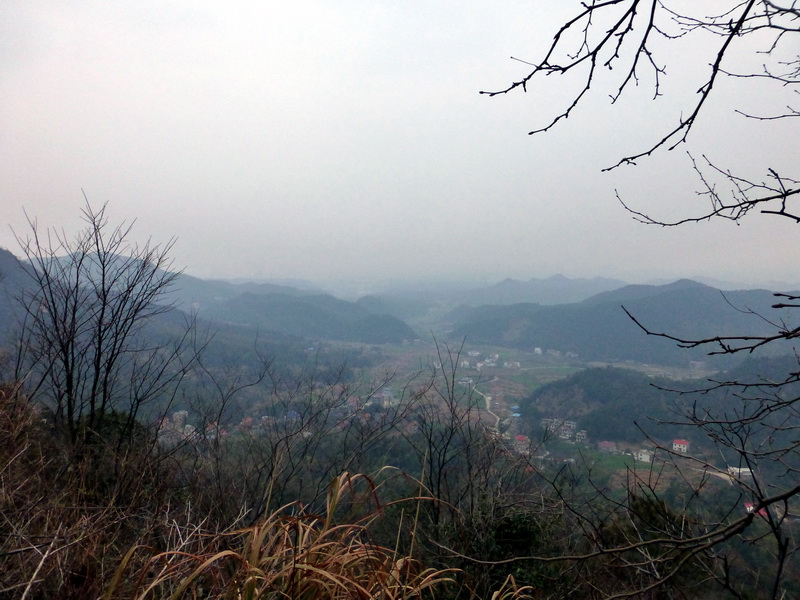 p1180875.jpg