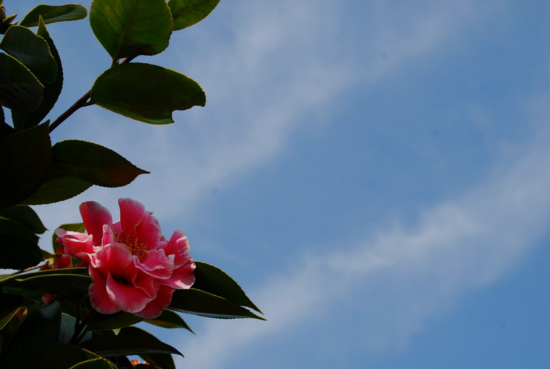 dsc_5926.jpg