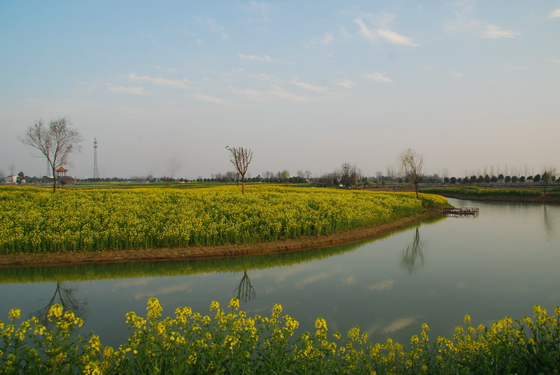 dsc_6340.jpg