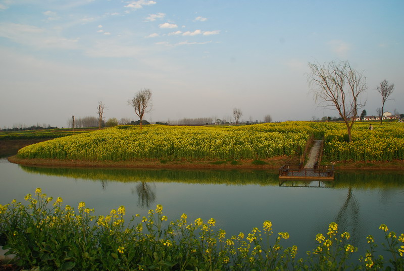 dsc_6348.jpg