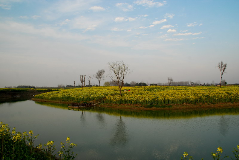 dsc_6359.jpg