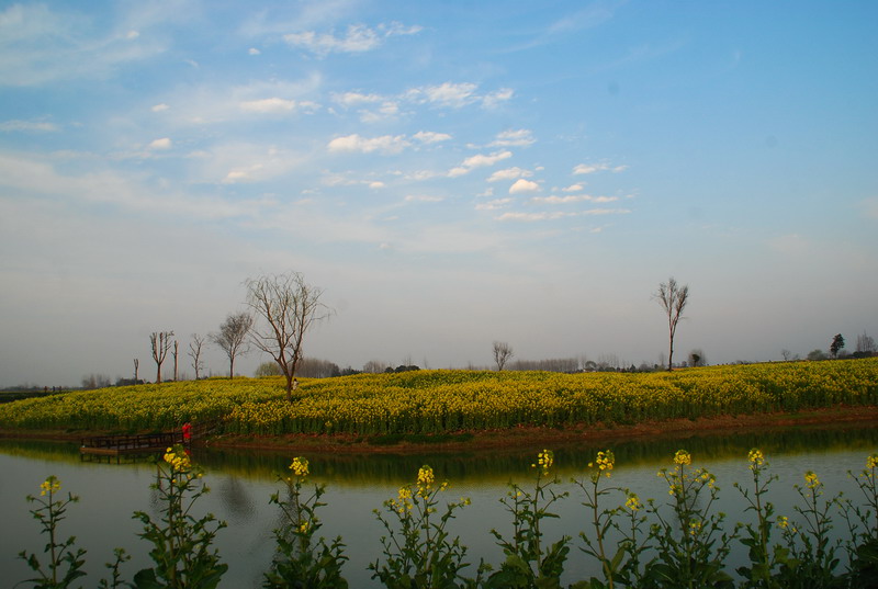 dsc_6367.jpg