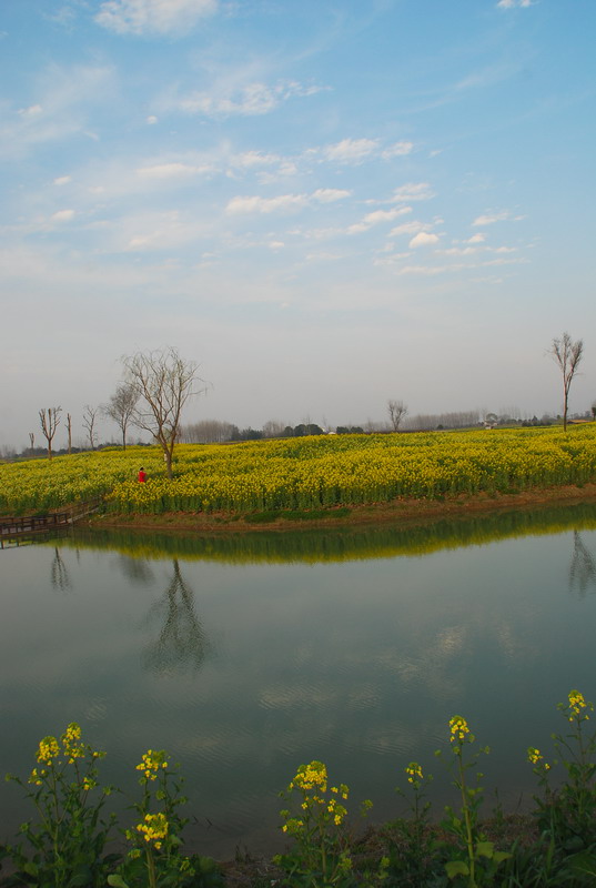 dsc_6369.jpg