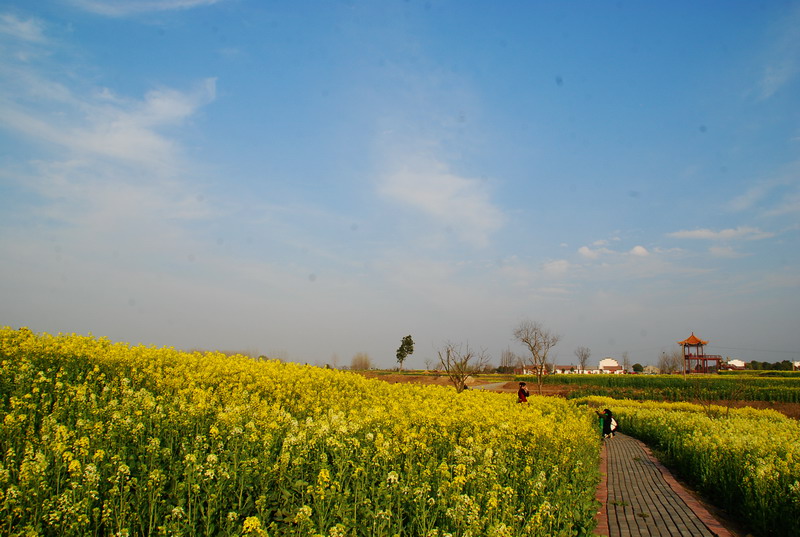 dsc_6271.jpg
