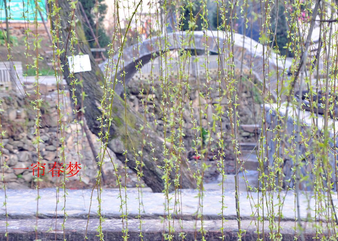 dsc_0043.jpg