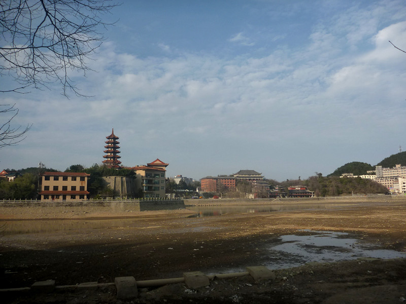 p1190207_.jpg