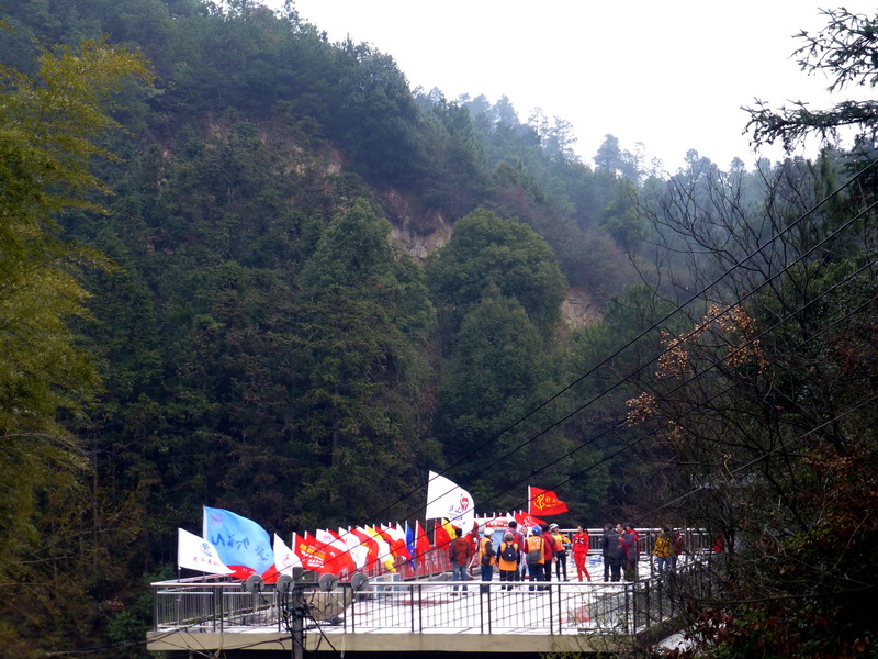 p1190113.jpg