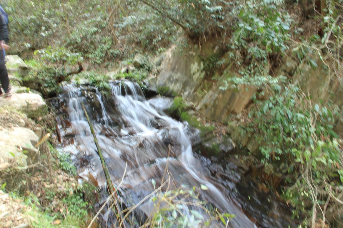 img_1658.jpg