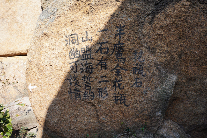 dsc00784.jpg