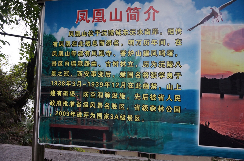 555555.jpg