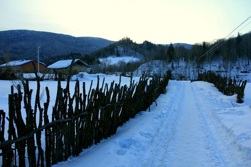 img_9786.jpg