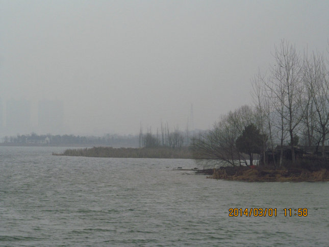 img_4312.jpg