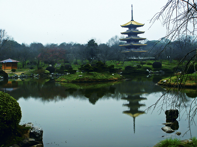 dsc04338 03.jpg