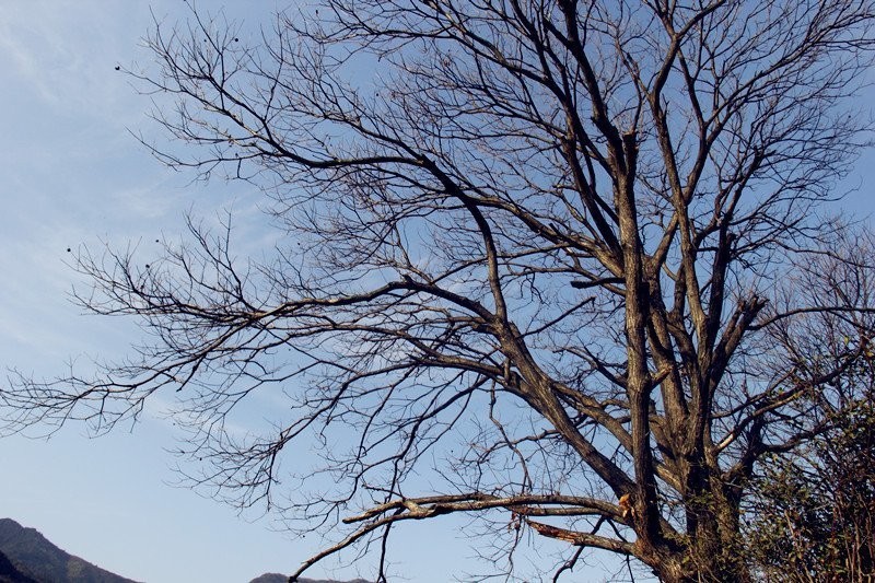 qqͼƬ20140322200801.jpg