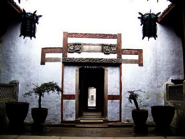 neo_img_100_0939.jpg