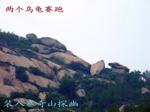 5e168a43x68ae22b17c07.jpg