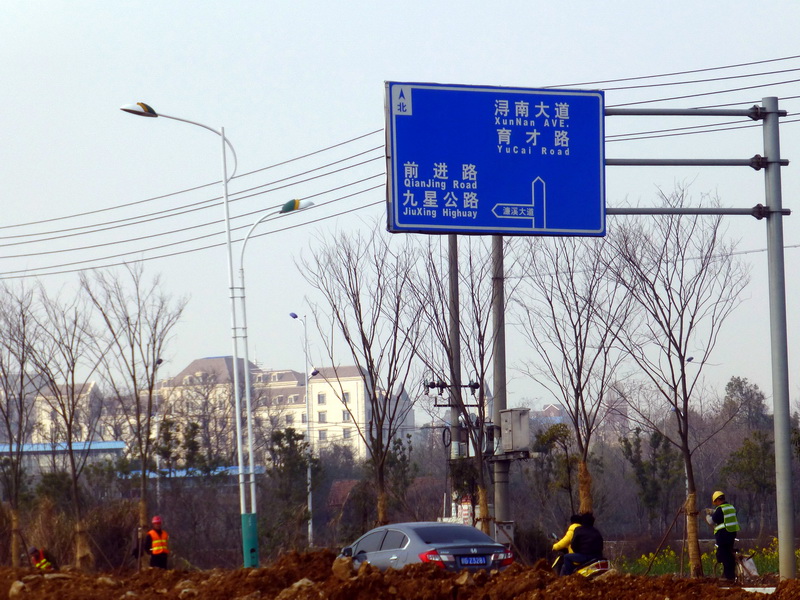 p1190174.jpg