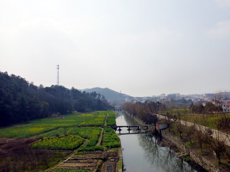p1190170.jpg