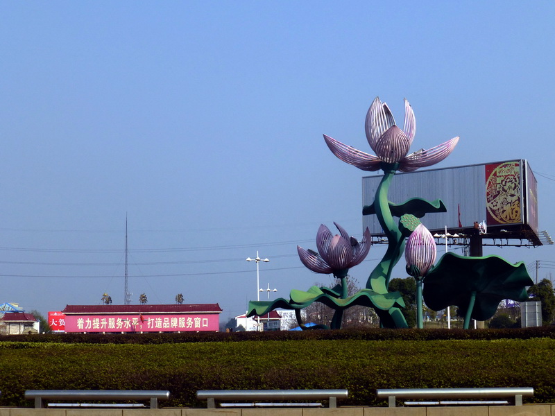 p1190183.jpg