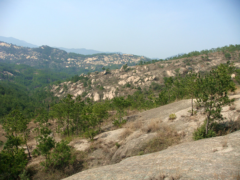 dsc03720_.jpg