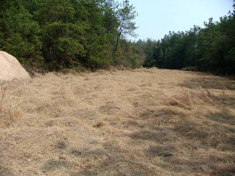 dsc03735_.jpg