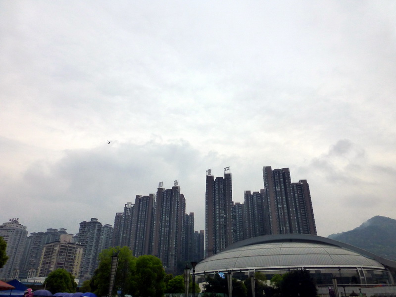 p1190255.jpg