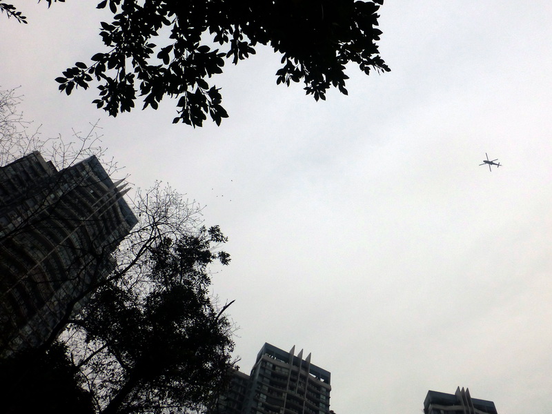 p1190256.jpg