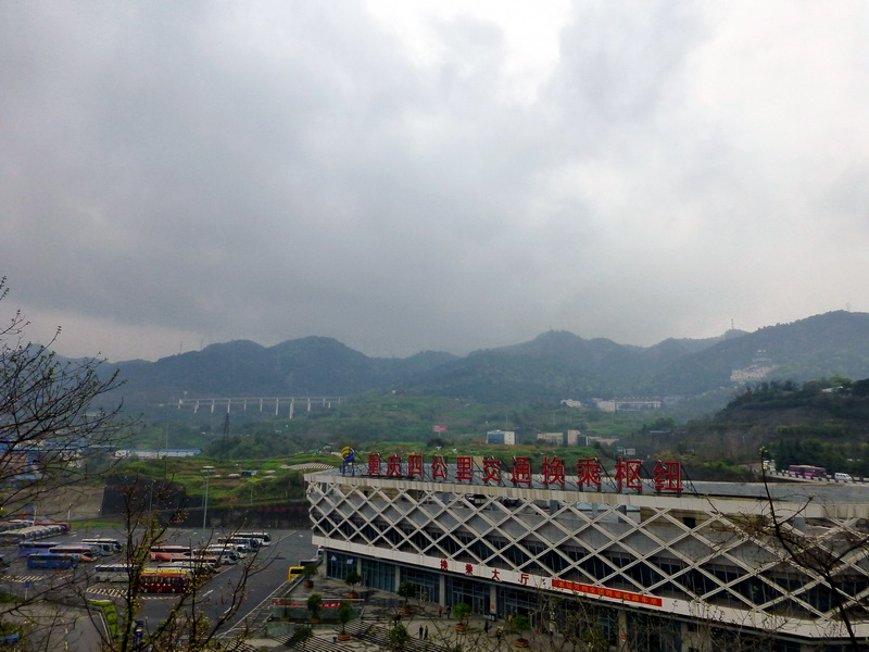 p1190263.jpg