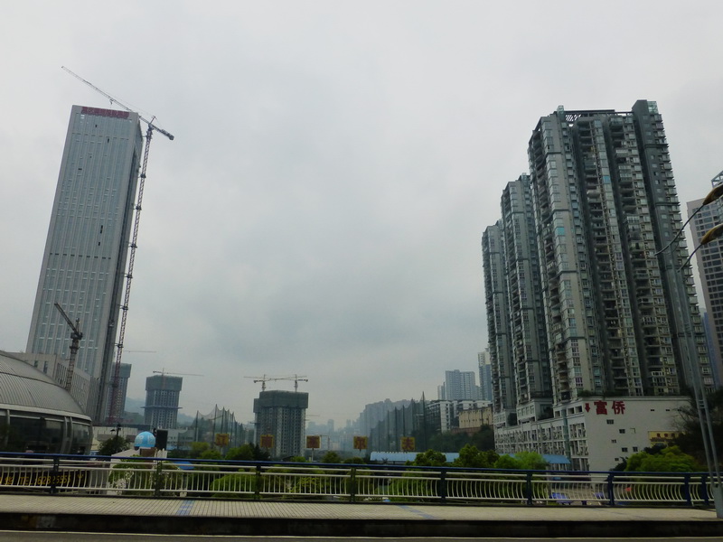 p1190272.jpg