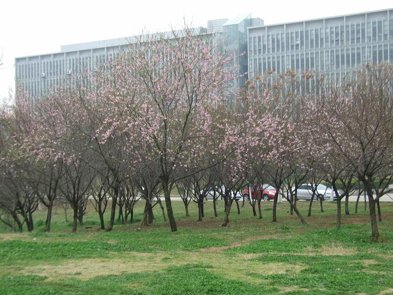 dscf0934.jpg