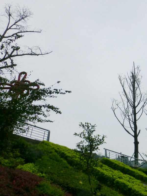 p1190319.jpg