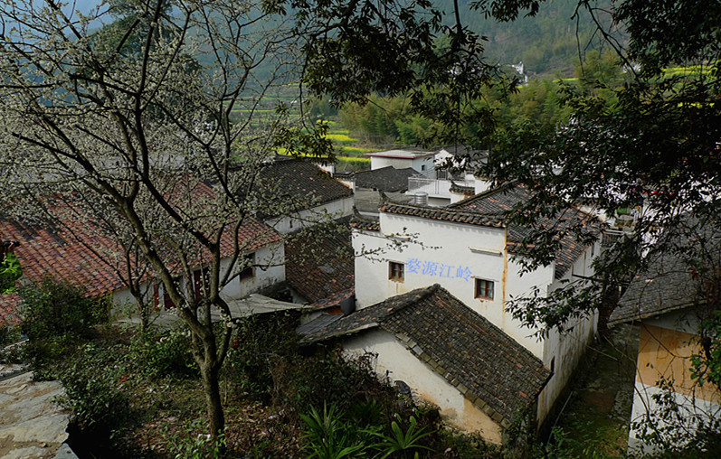 p1130340_1.jpg