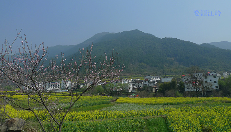 p1130438_1.jpg