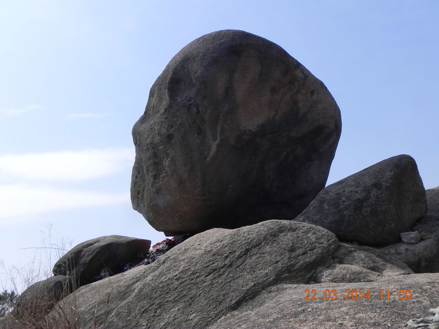 dscn6950.jpg