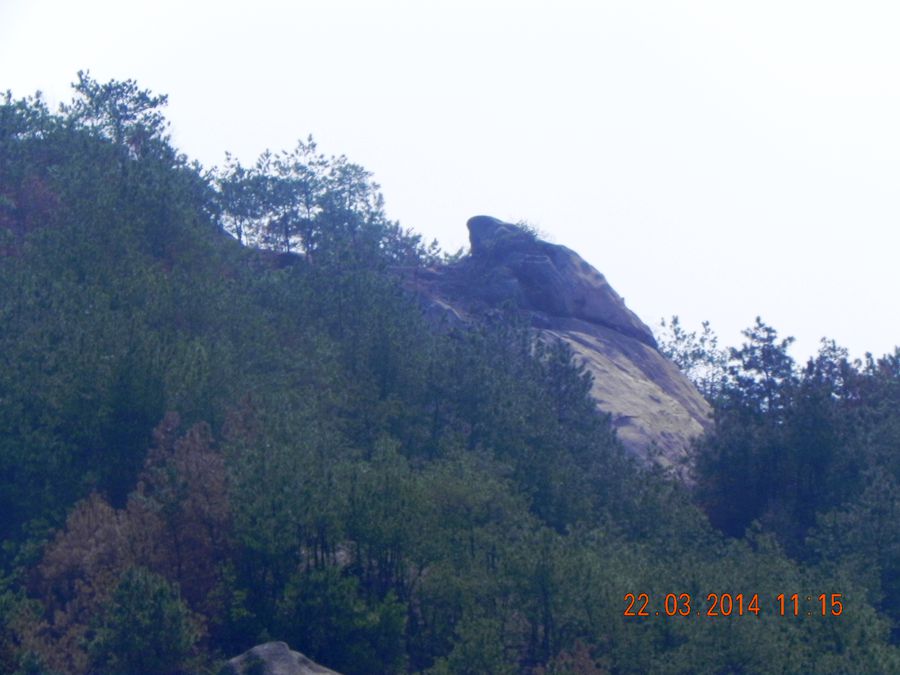 dscn6955.jpg