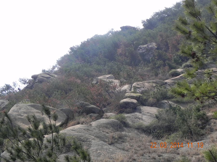 dscn6960.jpg