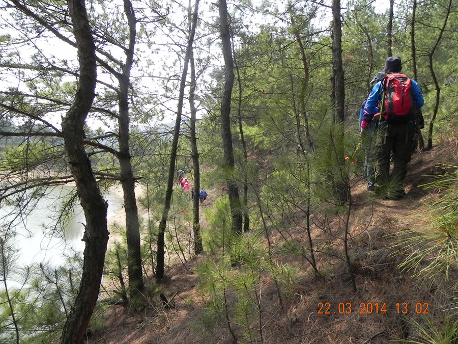 dscn6980.jpg