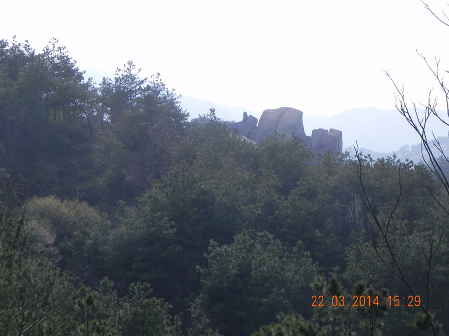dscn6990.jpg